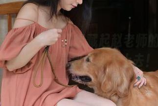 IESS异思趣向 – 只想藏起赵老师的最新OL图册，感觉要火到天上去！