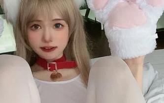 壁纸不可挡：倦倦喵合集里藏着小确幸